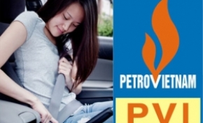 Bảo hiểm xe cơ giới PVI Hồ Chí Minh - 0902563987